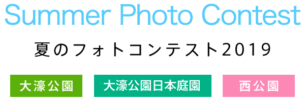 春のフォトコンテスト